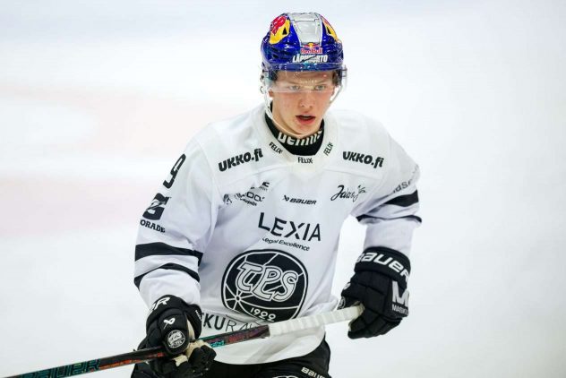 aop_koivuaatos20251110